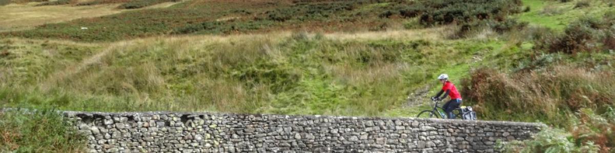 Biking stream bridge