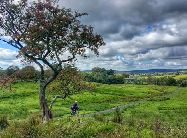 Biking in green landscape