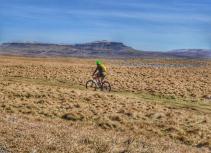 Biking over open field