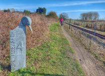 Cycling the Bure Valley Cycle Path