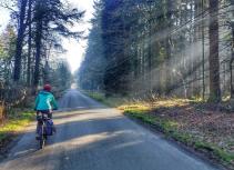Cycling in Thetford Forest