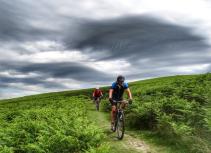Cycling through green bracken