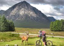 Mountain biker with deer Kingshouse