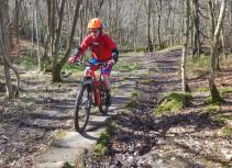 Mountain biker on forest trail