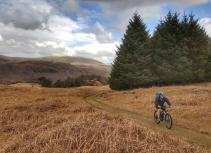 Mountain biker trail scenery