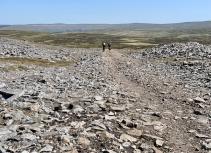 Mountain bikers on Cross Fell