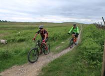 Mountain bikers on trail