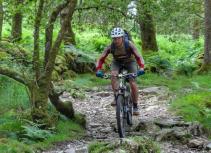 Mountain biking in a forest near Ambleside