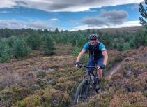 Mountain biking forest trail