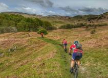 Mountain biking grassy hillside