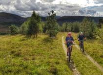 Mountain biking in nature