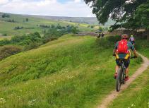 Mountain biking singletrack trail