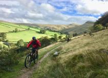 Mountain biking singletrack