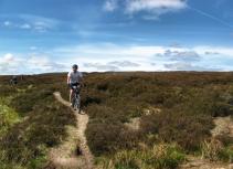 Singletrack biking in Northumberland