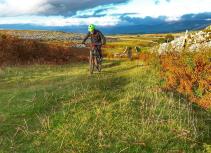 Yorkshire Dales in Autumn
