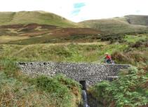Biking stream bridge