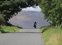 Cycling in country road with trees