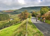 Cycling on country road with trees