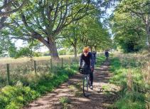 Cycling in nature pathway