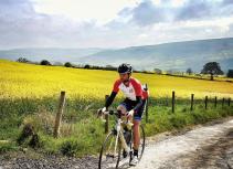 Cycling scenic yellow field