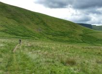 Mountain bike ride green hills