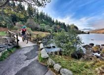 Mountain biker on bridge