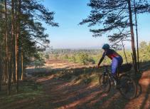 Mountain biker forest trail