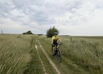 Mountain biker riding on trail