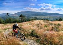 Mountain biker trail scenery 7 Stanes
