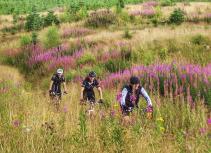 Mountain biking in flower field