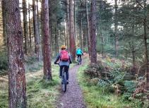 Mountain biking forest path