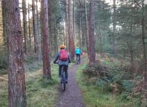 Mountain biking forest trail Kielder