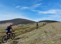 Mountain biking group in Tweed Valley Hills