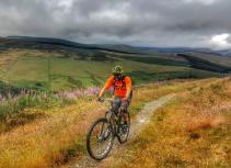Mountain biking hillside scenery