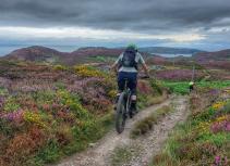 Mountain biking scenic heathland trail
