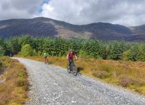 Mountain biking trail adventure