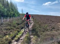 Mountain biking trail Tweed Valley