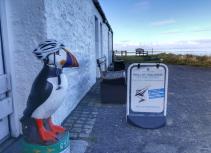 Mull of Galloway Puffin