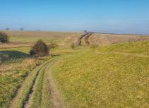 Rural landscape pathway spring