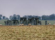 Stonehenge with sheep