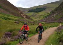 Mountain biking in heather field