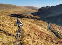 Mountain biking in nature